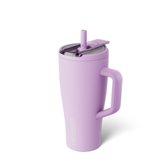Era Flip 30oz | Lavender